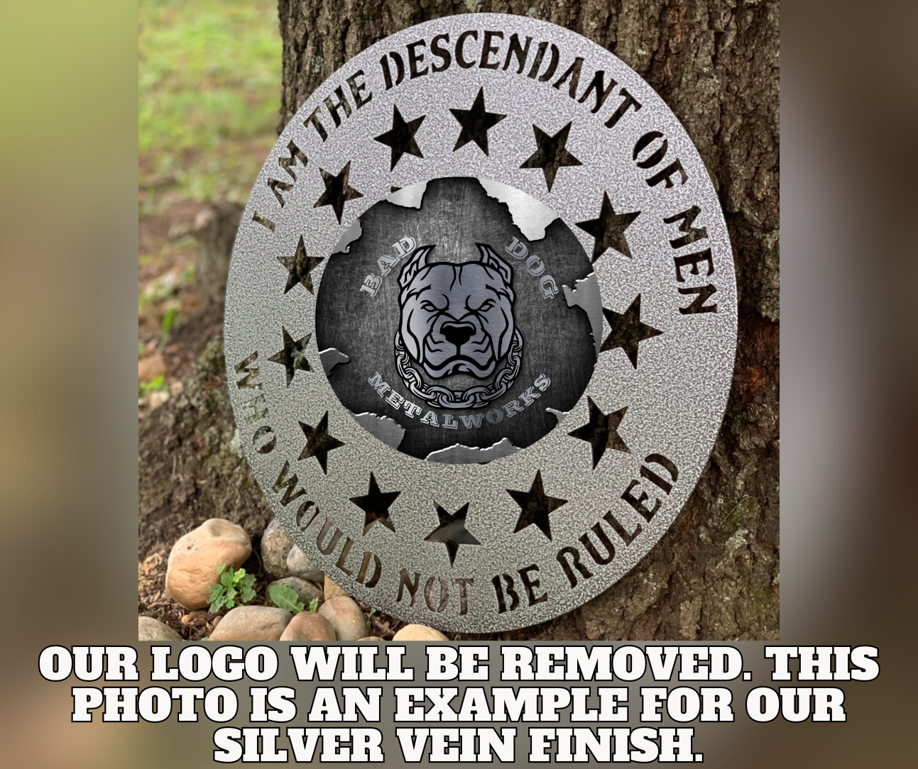 I Am The Descendant Of Men Who Would Not Be Ruled 1776