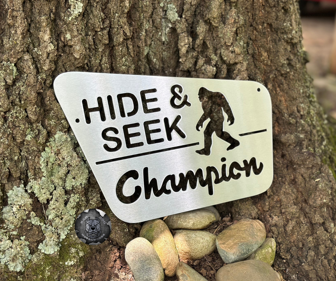 Bigfoot Hide and Seek Champion