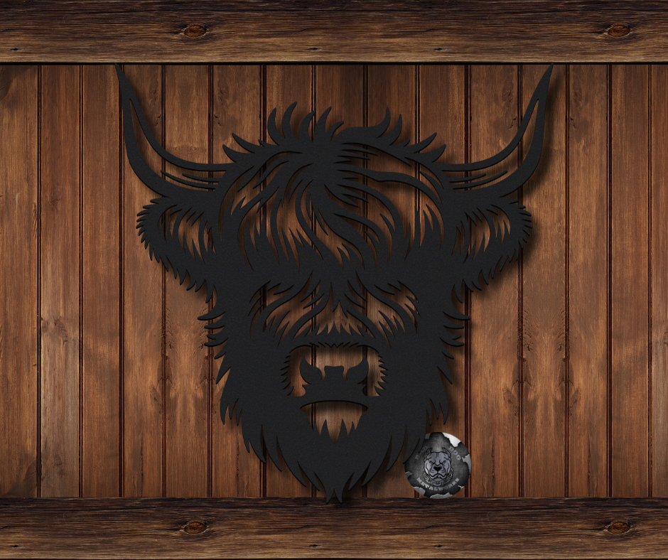 Highland Cow