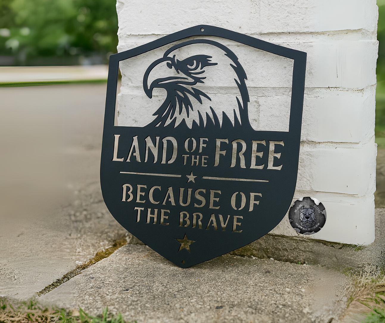 Land of the Free Because of the Brave Eagle