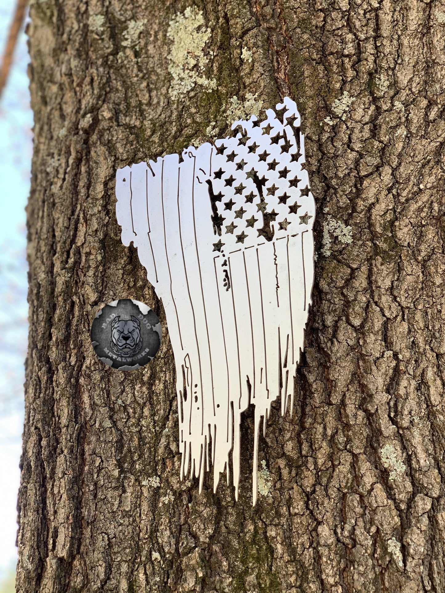 Tattered American Flag