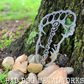 Believe in Bigfoot Footprint