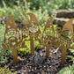 Garden Gnome Stakes