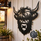 Highland Cow