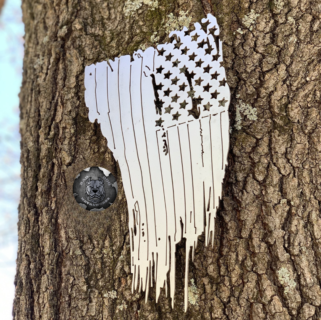 Tattered American Flag