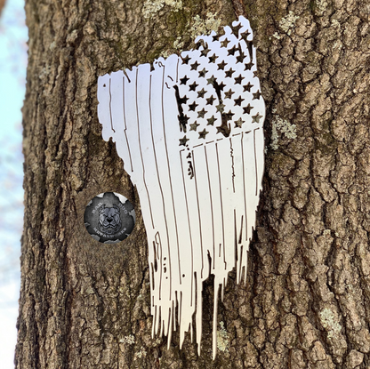 Tattered American Flag