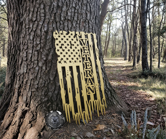 Veteran Tattered Flag