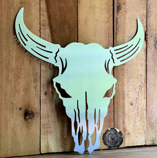 Longhorn Bull Skull