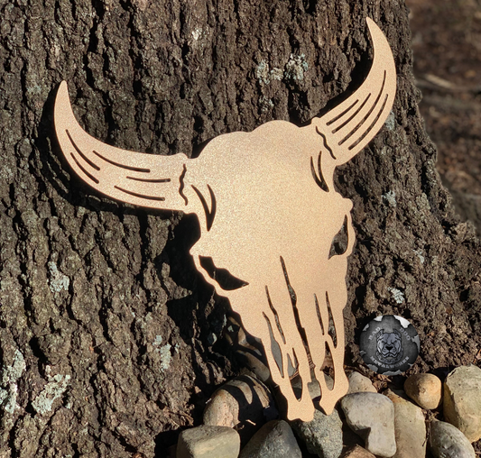 Longhorn Bull Skull