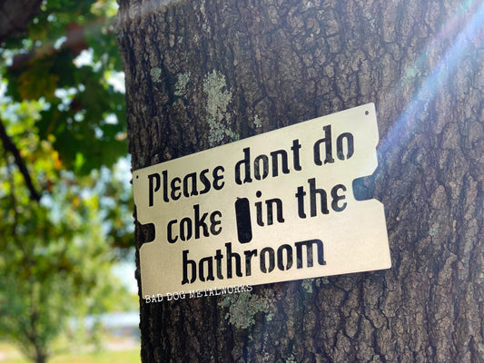 Please Don't Do Coke in the Bathroom